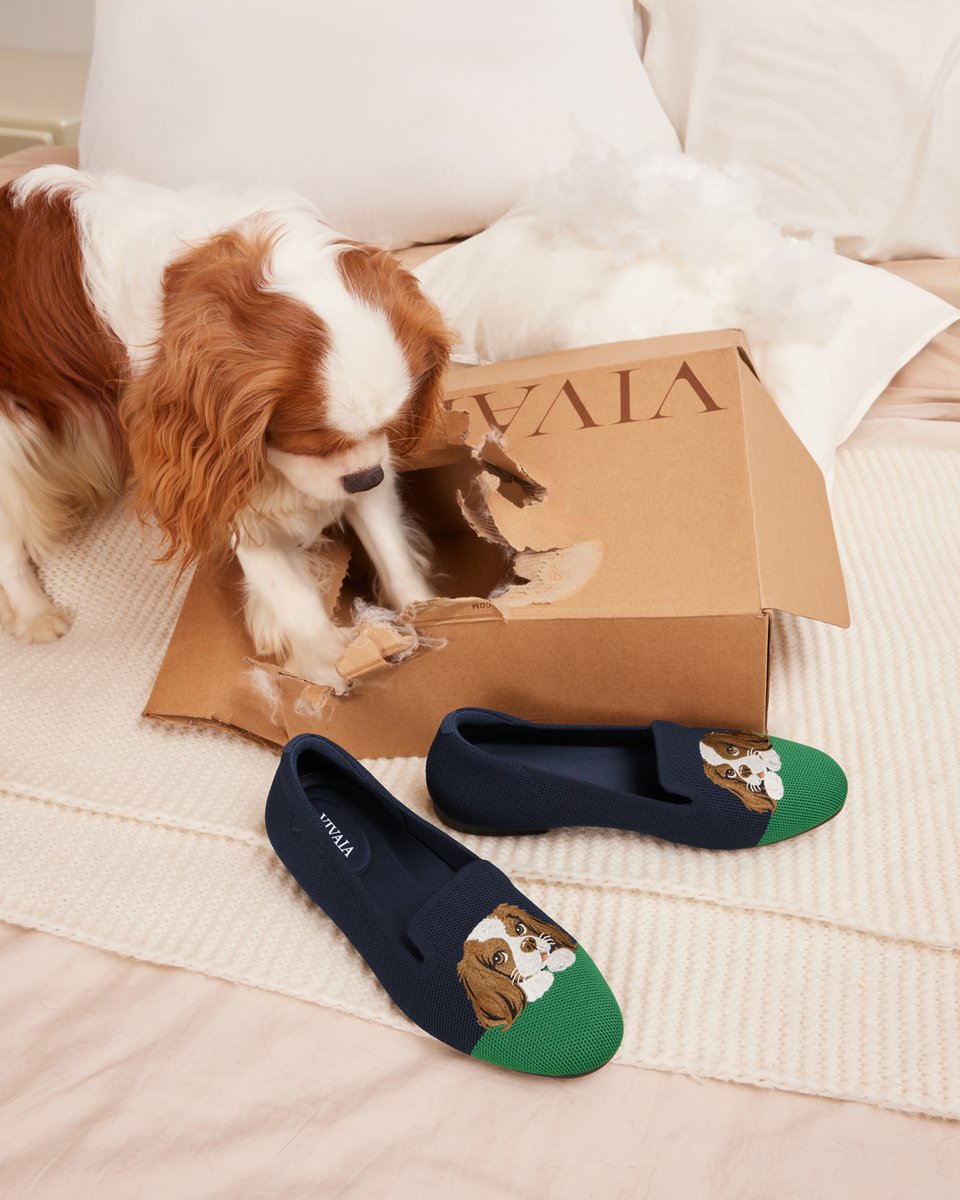 vivaia_official's tweet image. Adorable little troublemaker! But smart too,  leaving my favorite shoes unscathed like that, so treats for you. 

reurl.cc/pYGoRb

#VIVAIA #VIVAIAAudrey #Pawrent #Troublemaker