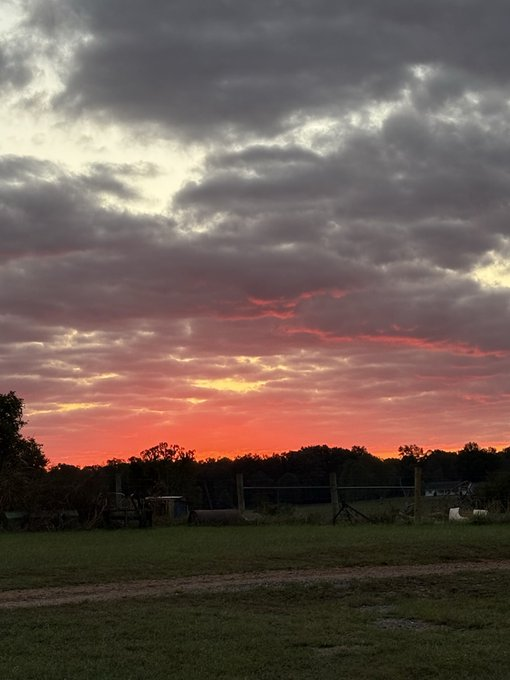 ElivetaWaves's tweet photo. Even the sky knows it’s red Friday https://t.co/dhqyeOr9Zn