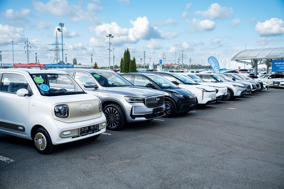 KarolinaTopolova tweet media