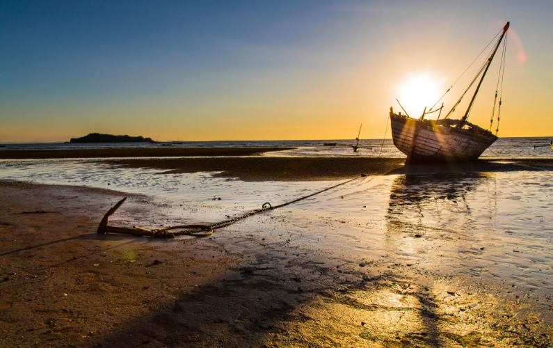 bergendad's tweet image. Feeling overwhelmed is a sign you're being tested, not a sign you should quit. Perseverance is the bridge between your current struggle and your future strength. Keep going.

Find the encouragement and advice: bit.ly/3KwwDoT

#HopeForMen #Perseverance #Faith #BergenDad