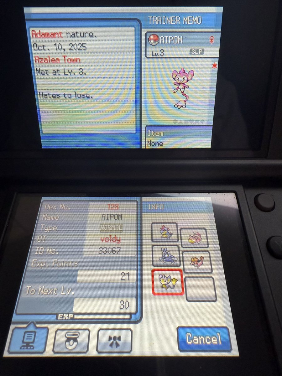 voldyy7's tweet photo. ITS HERE SHINY AIPOM, only 1028 Headbutts on the same game as the last phase!! 43,040 total encounters and 10 shinies for this hunt! So glad the continue my SBQ https://t.co/SlI9EInLwN