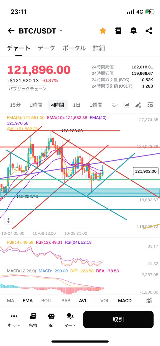 BIT子ちゃん tweet media