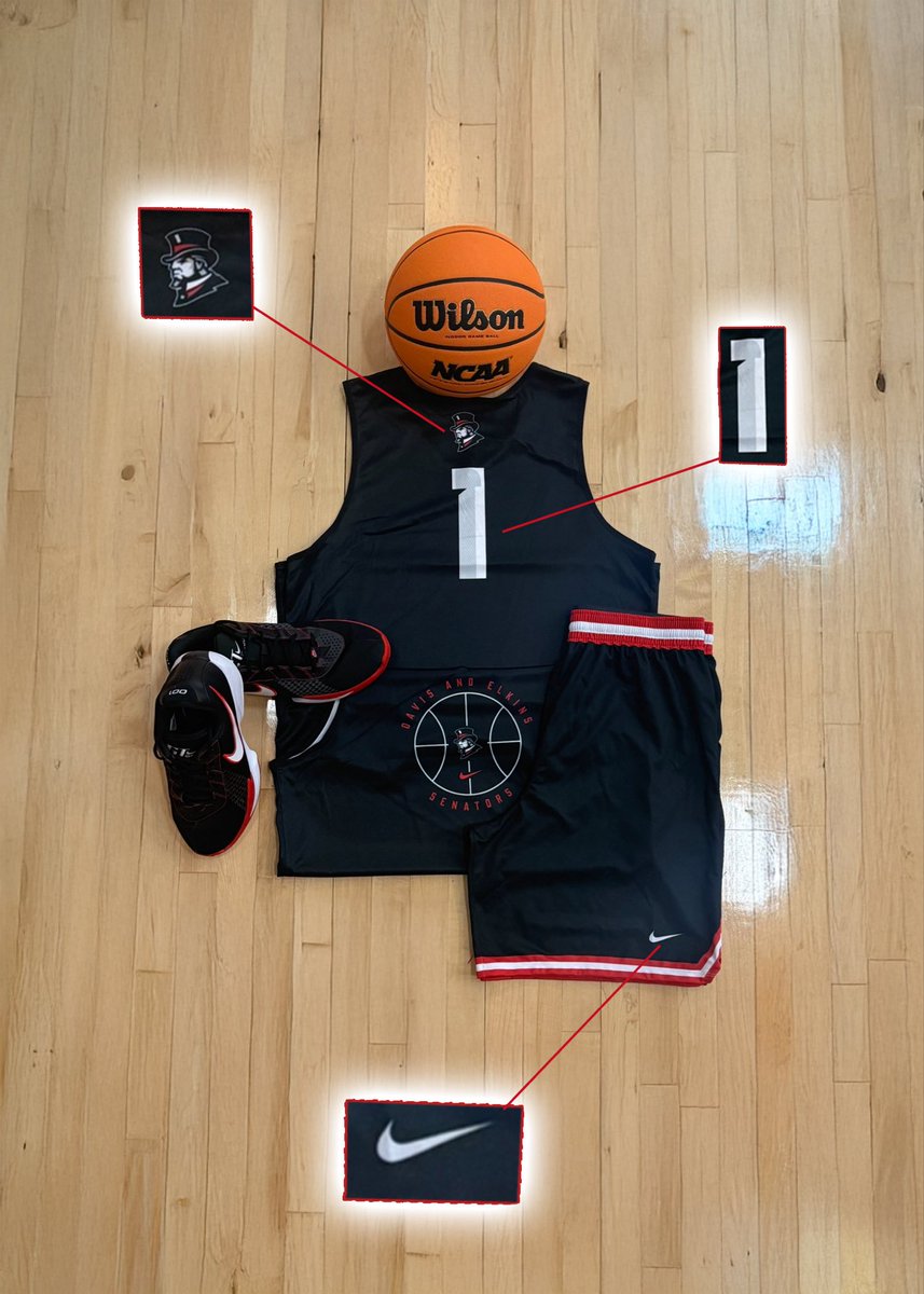 Davis & Elkins Men's Basketball tweet media