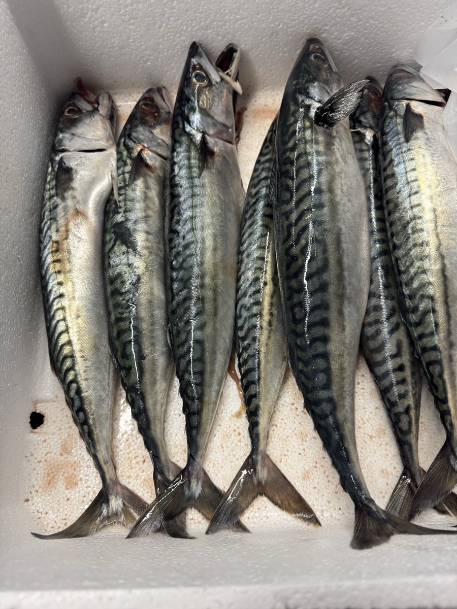 Strath HE Teaching tweet media