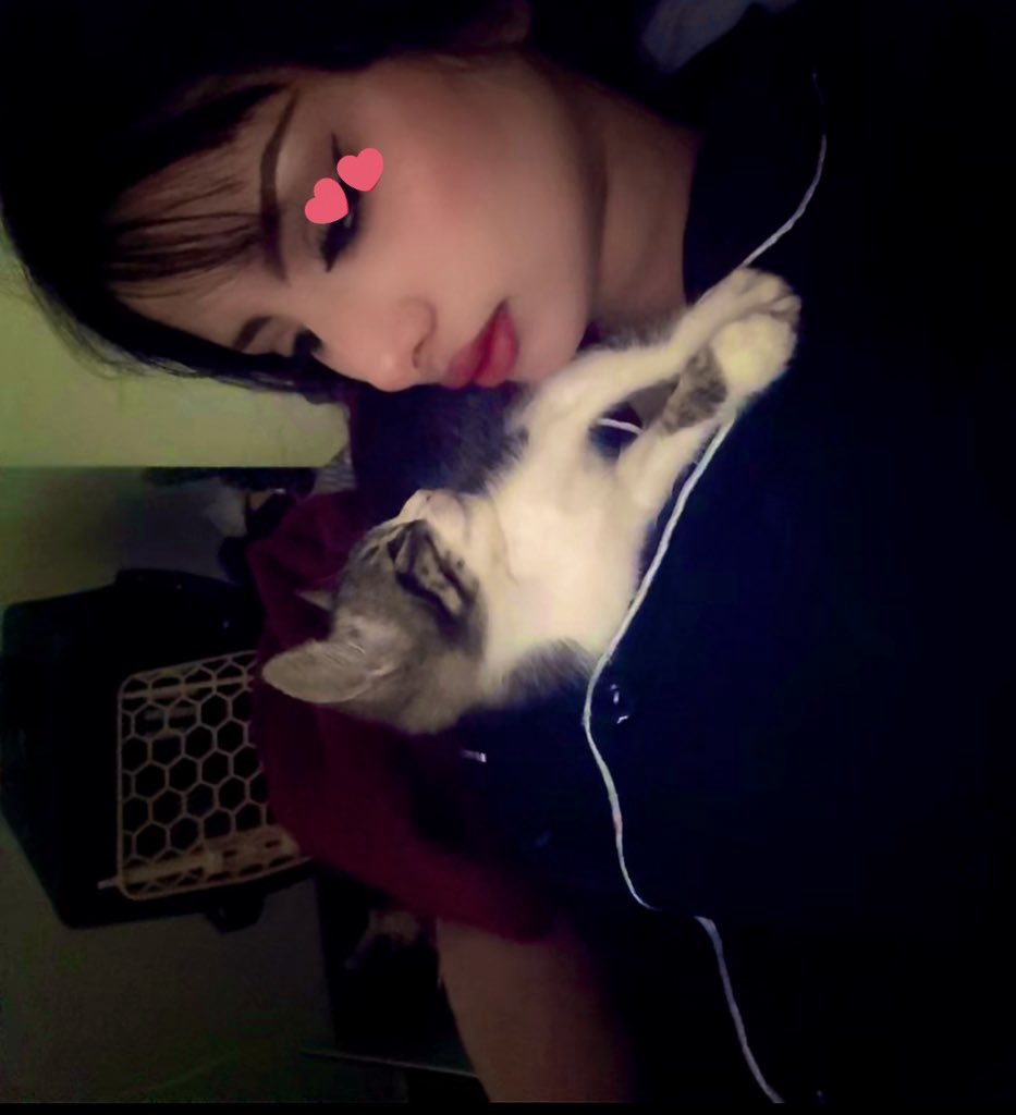 meow meow !!?  
meow meow  
meow :p meow  
♡ meow meow  
:3 !!?? meow  
meow meow . ^-^