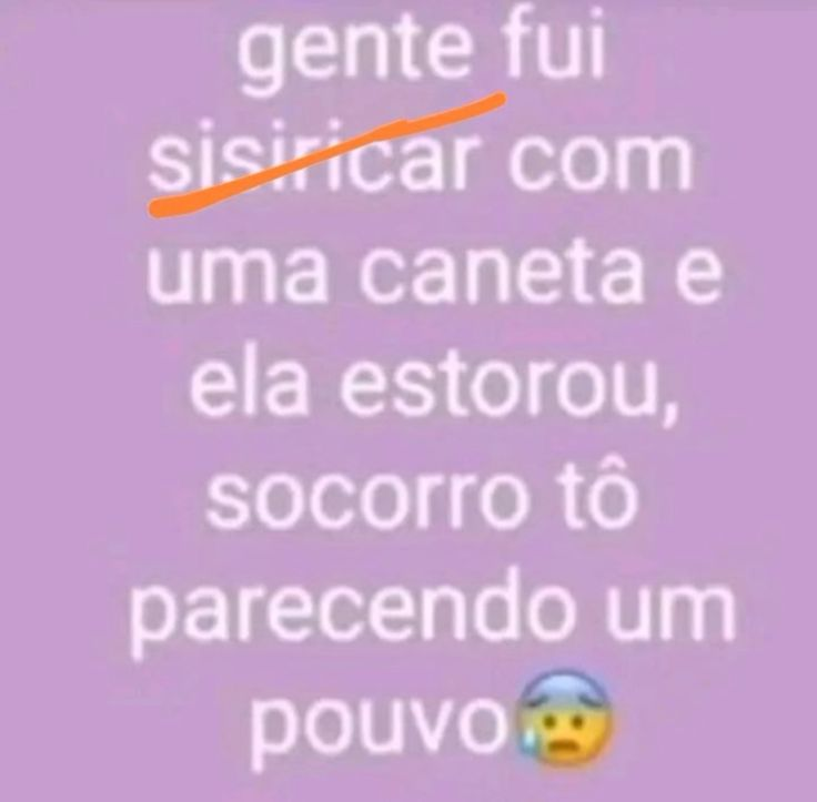 perfil dedicado a gatinhos e peitos (@odeiootaco) on Twitter photo 