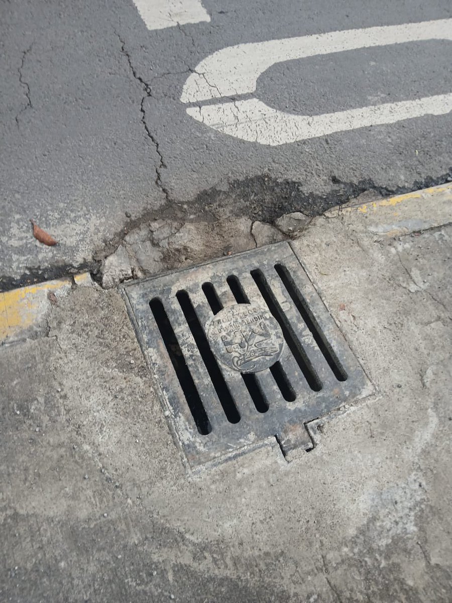 Alex Montiel tweet media