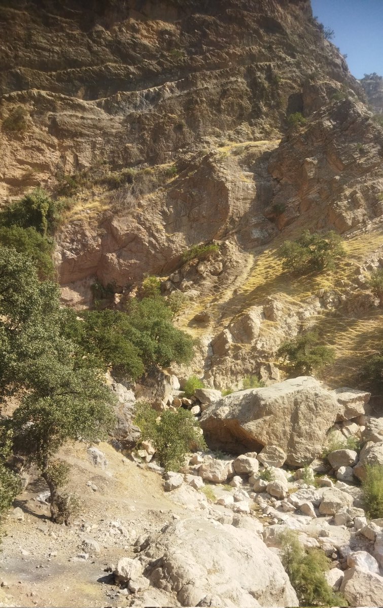 yِ ᴱˡᵃʰᵉ tweet media