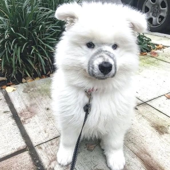 suzzwinter's tweet image. 