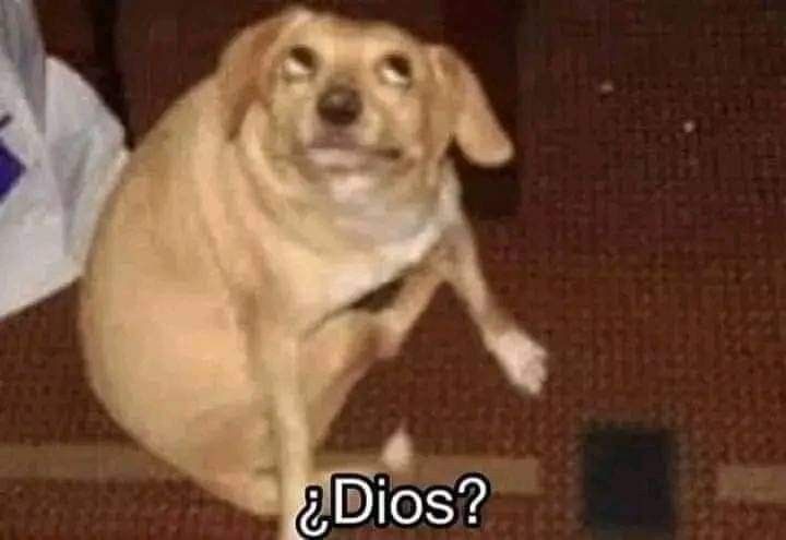luke tipo: