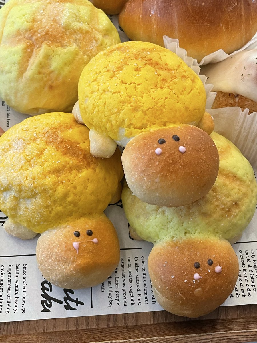 따끈따끈베이커리 🐢🥖
