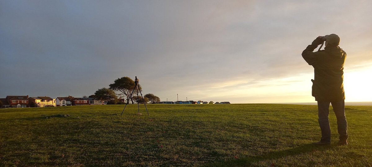 Mark Nowers tweet media