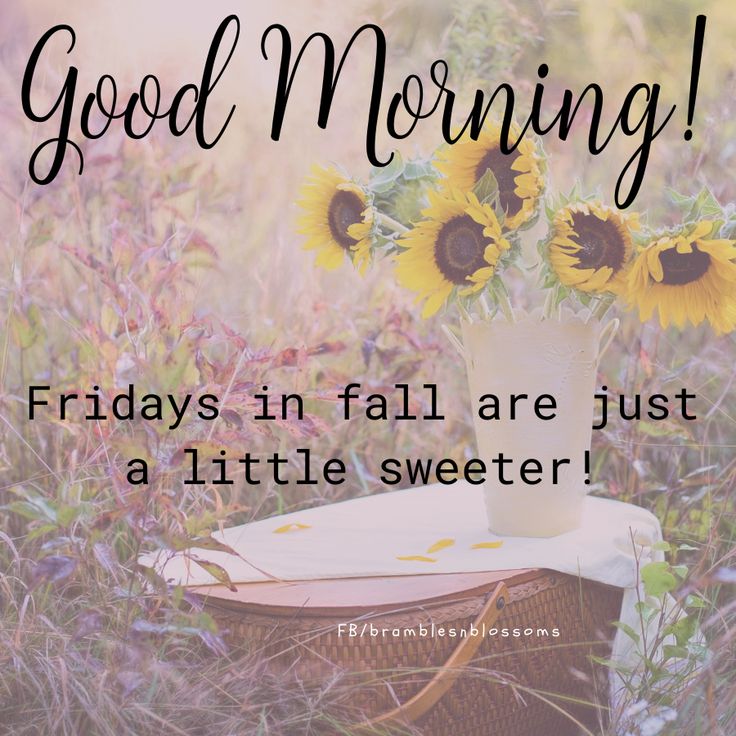 Sweeet...It's Friday and time for your Eblast! mailchi.mp/7d0d6bf3b6f1/s…