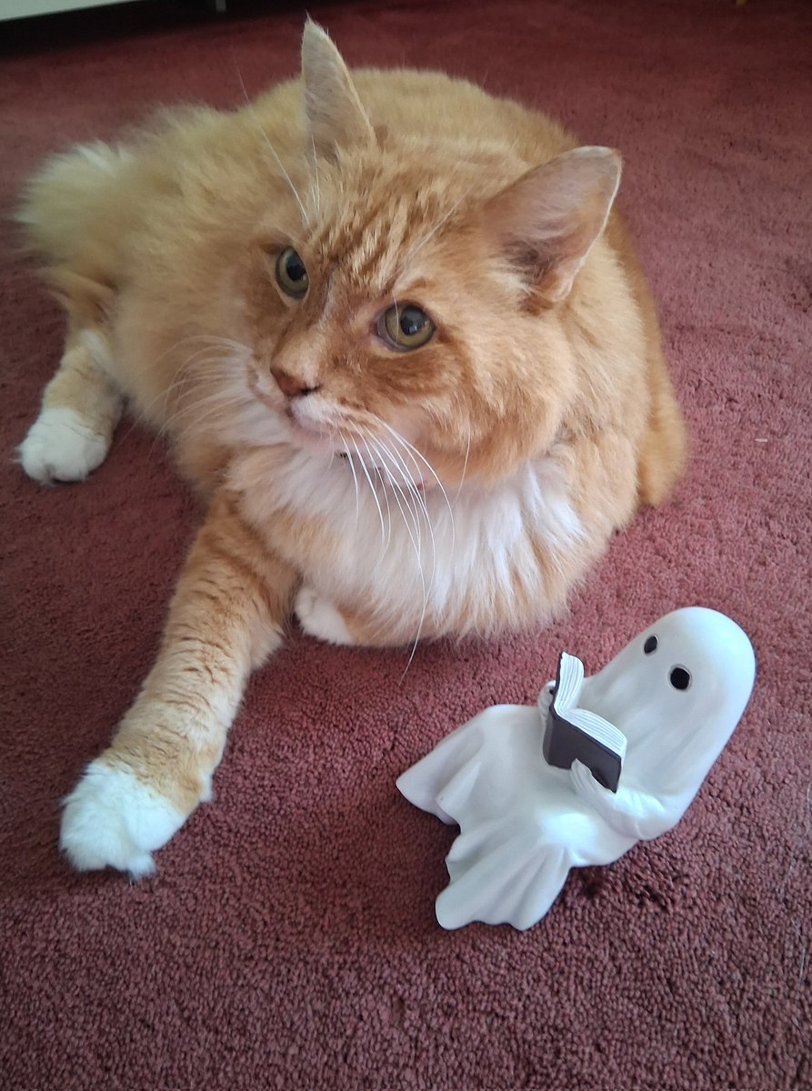 Whiskey loves a good ghost story. <a href="/SusanCalman/">Susan Calman</a>