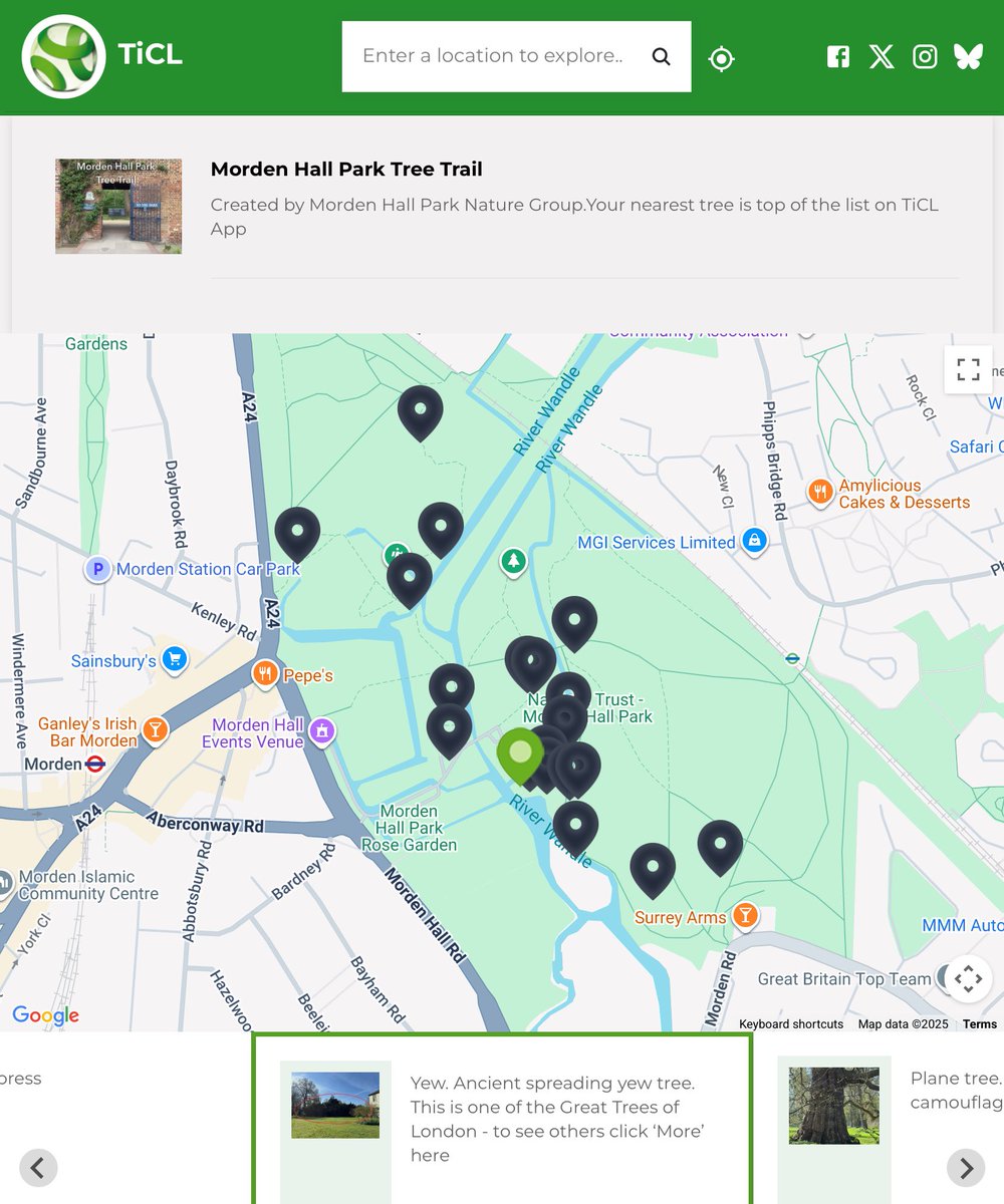 TiCLme's tweet image. Friends @MHPNatureGroup have made this rather lovely #treetrail around Morden Hall Park

ticl.me/morden-hall-pa…

Of course it features the layering yew pictured …
… and yes, that’s just that one tree! 🤩

It’s one of the Great Trees of London #GTOL 🏆🌳