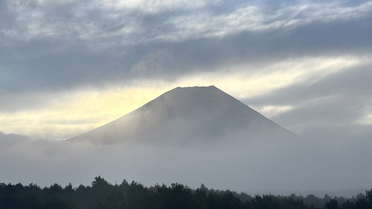 gomazo tweet picture