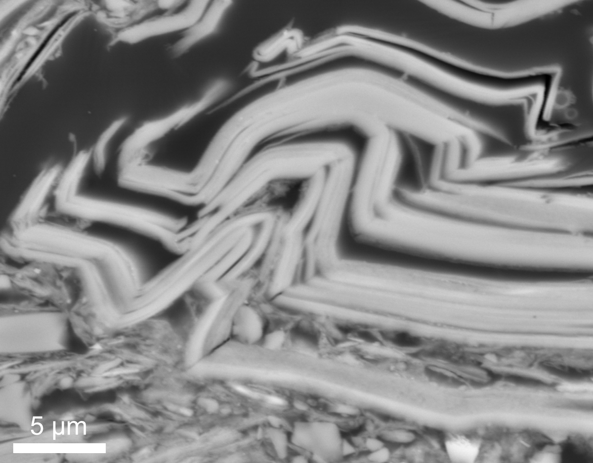 Kristina Dunkel tweet media