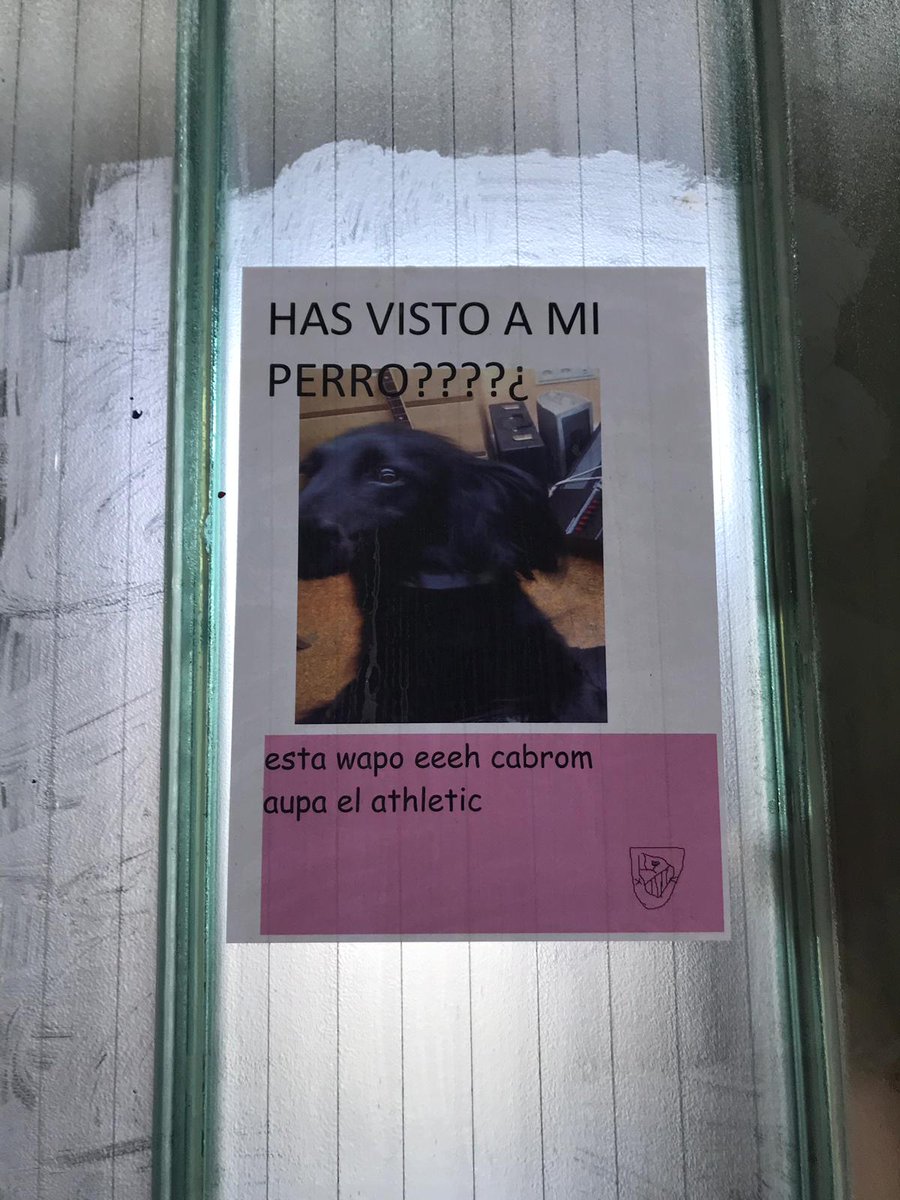 pulpaco's tweet photo. https://t.co/Z0xIhMTHEA
