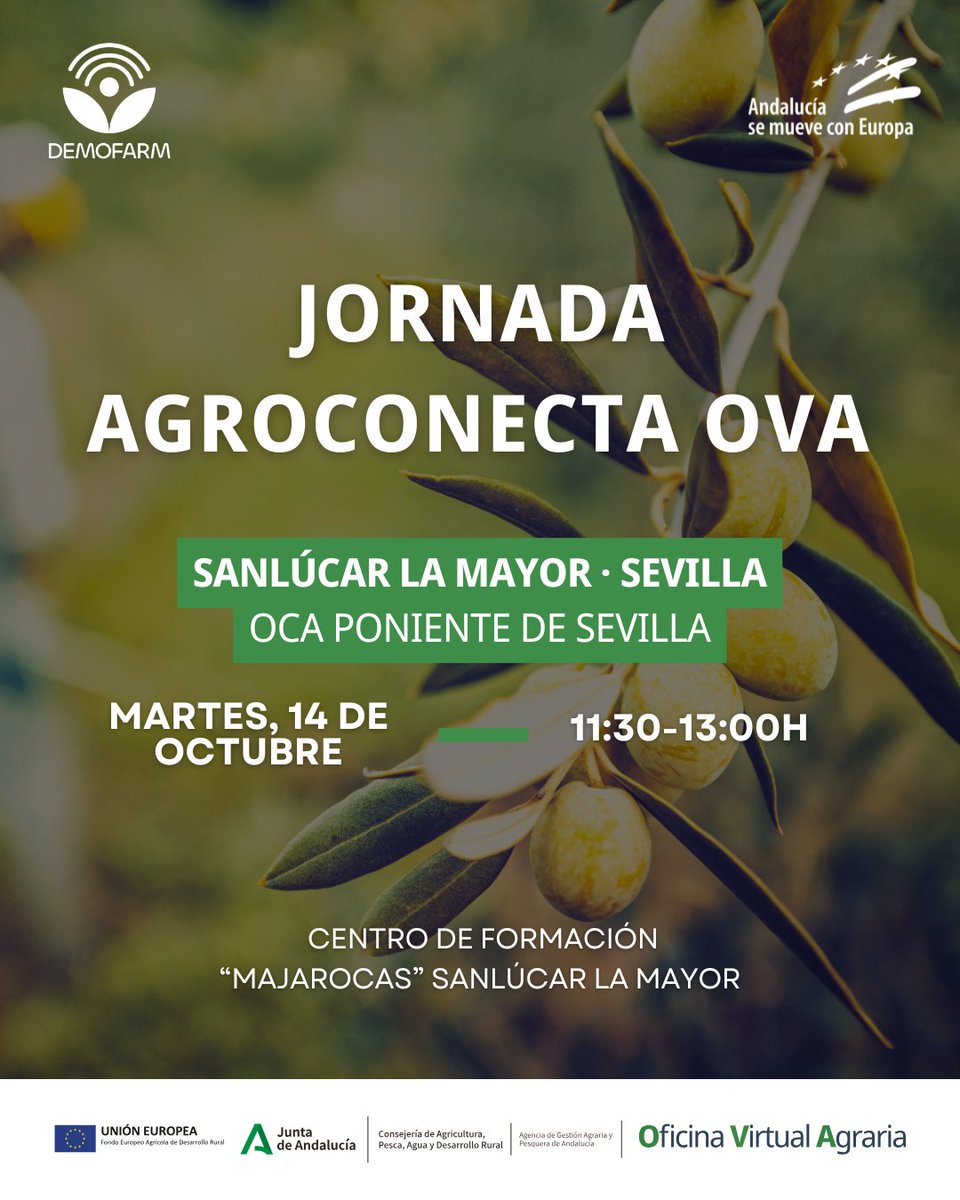 OVAAndalucia's tweet photo. 🟢 #AgroConectaOVA llega a Sanlúcar La Mayor para mostrar cómo las herramientas digitales pueden transformar la gestión de las explotaciones de olivar en seto.
🗓️ Martes 14/10 · 11:30H
👉 Inscríbete aquí:https://t.co/TSGAjEBW5z https://t.co/XEUstA7ill