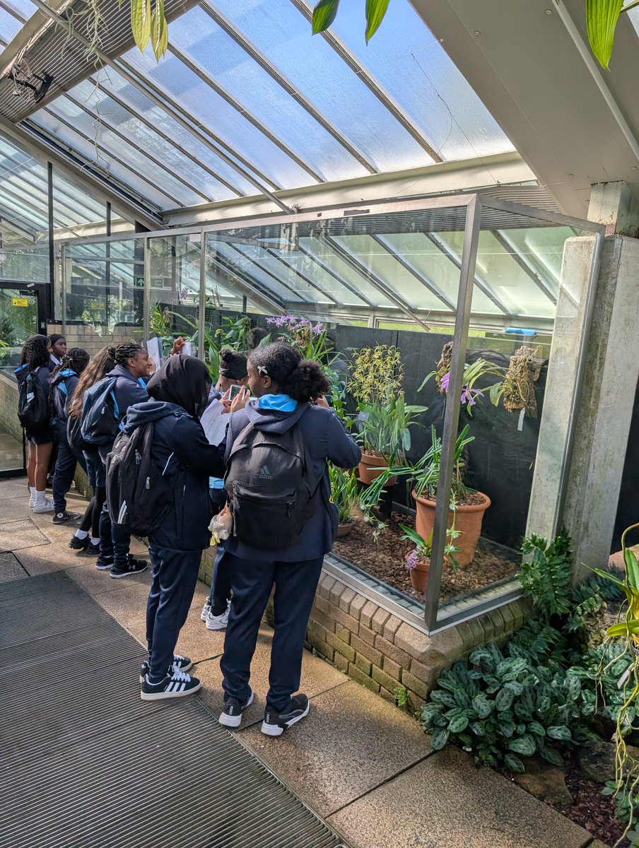Exploring biodiversity up close! 🌿 Students study orchids in the Princess of Wales Conservatory and discover the wonders of the desert biome at Kew Gardens #Geography