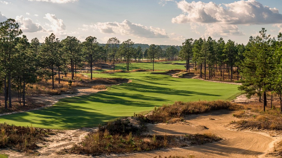 Golf Course Architecture tweet media