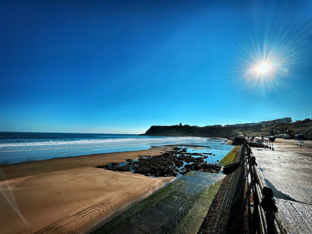 Fitzpatrick Design tweet media