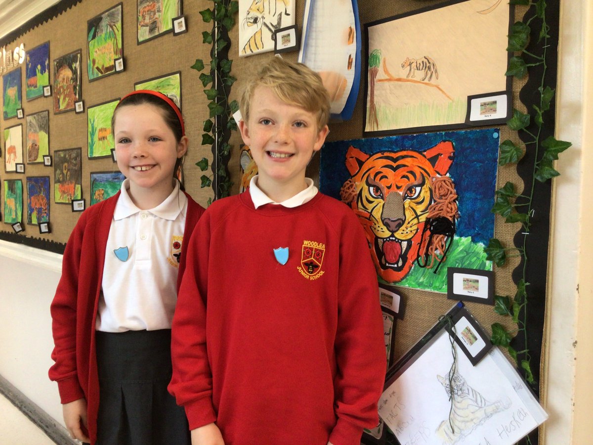 Woodlea Tiger Class tweet media