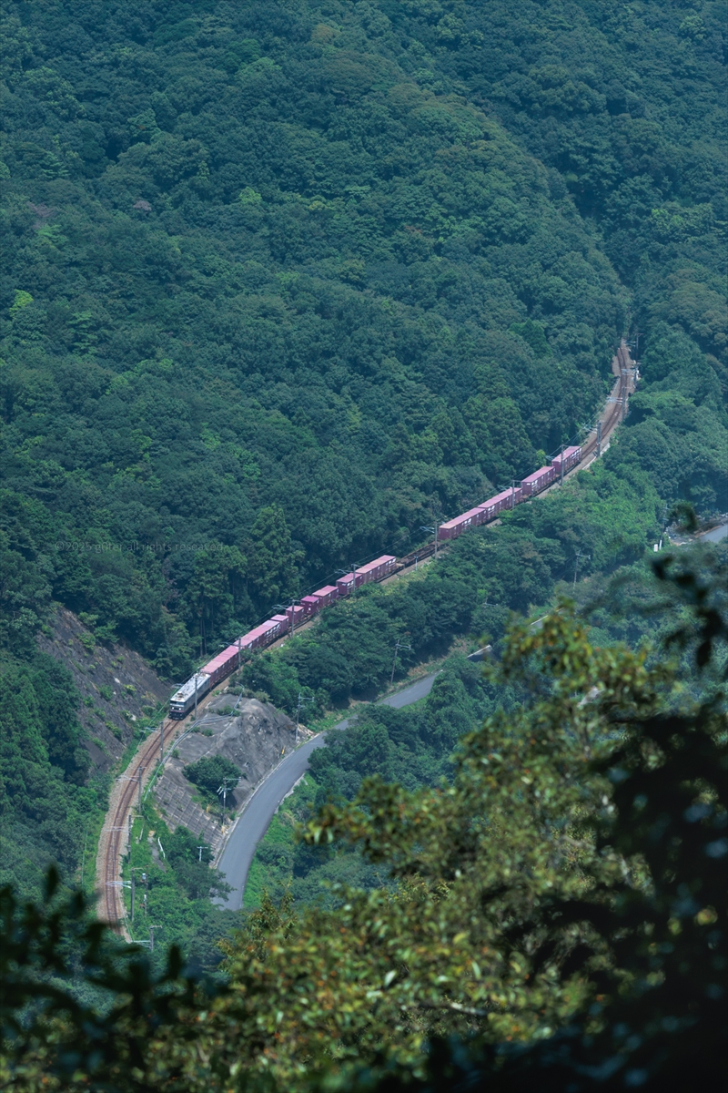 g0ter's tweet image. 300SMR
夏の豊後水道は摂取不足、また来年…