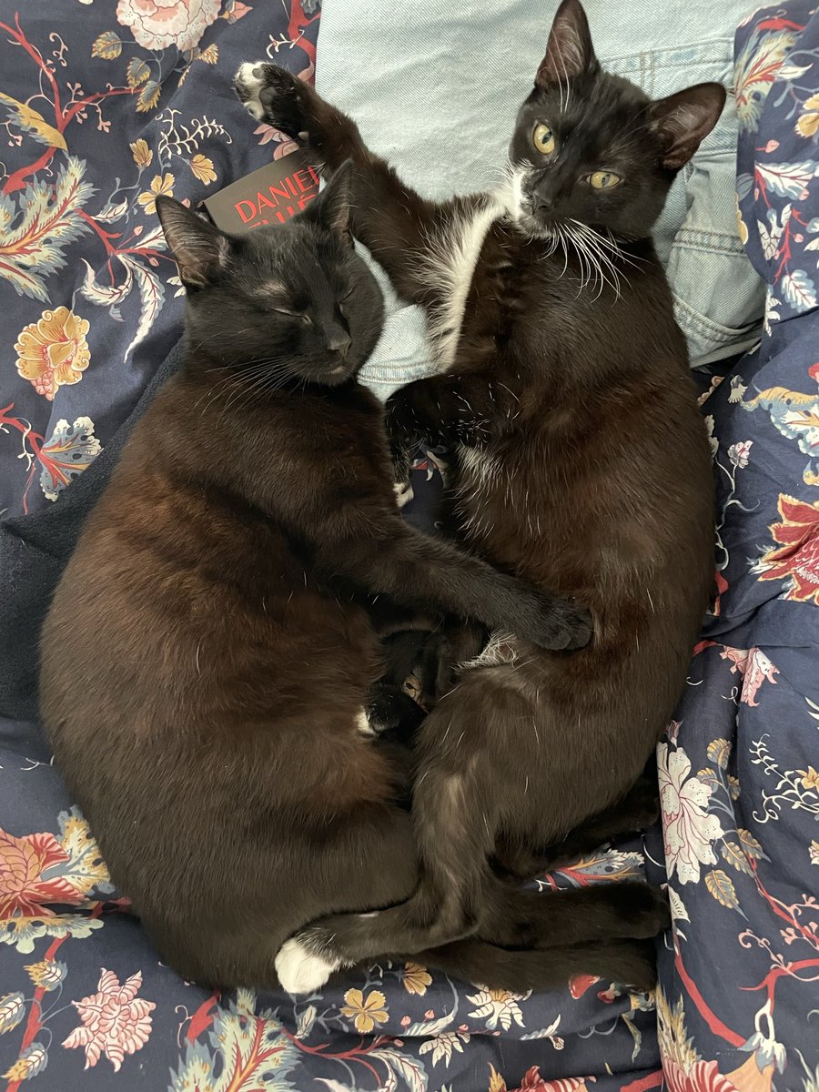 Naïri Zadourian tweet media