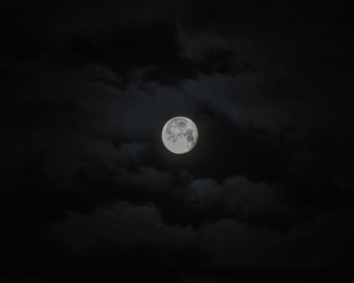 My fascination with the moon continues...
New photos from the summer of 2025.
View the slide show here

rodraglin.smugmug.com/frame/slidesho…