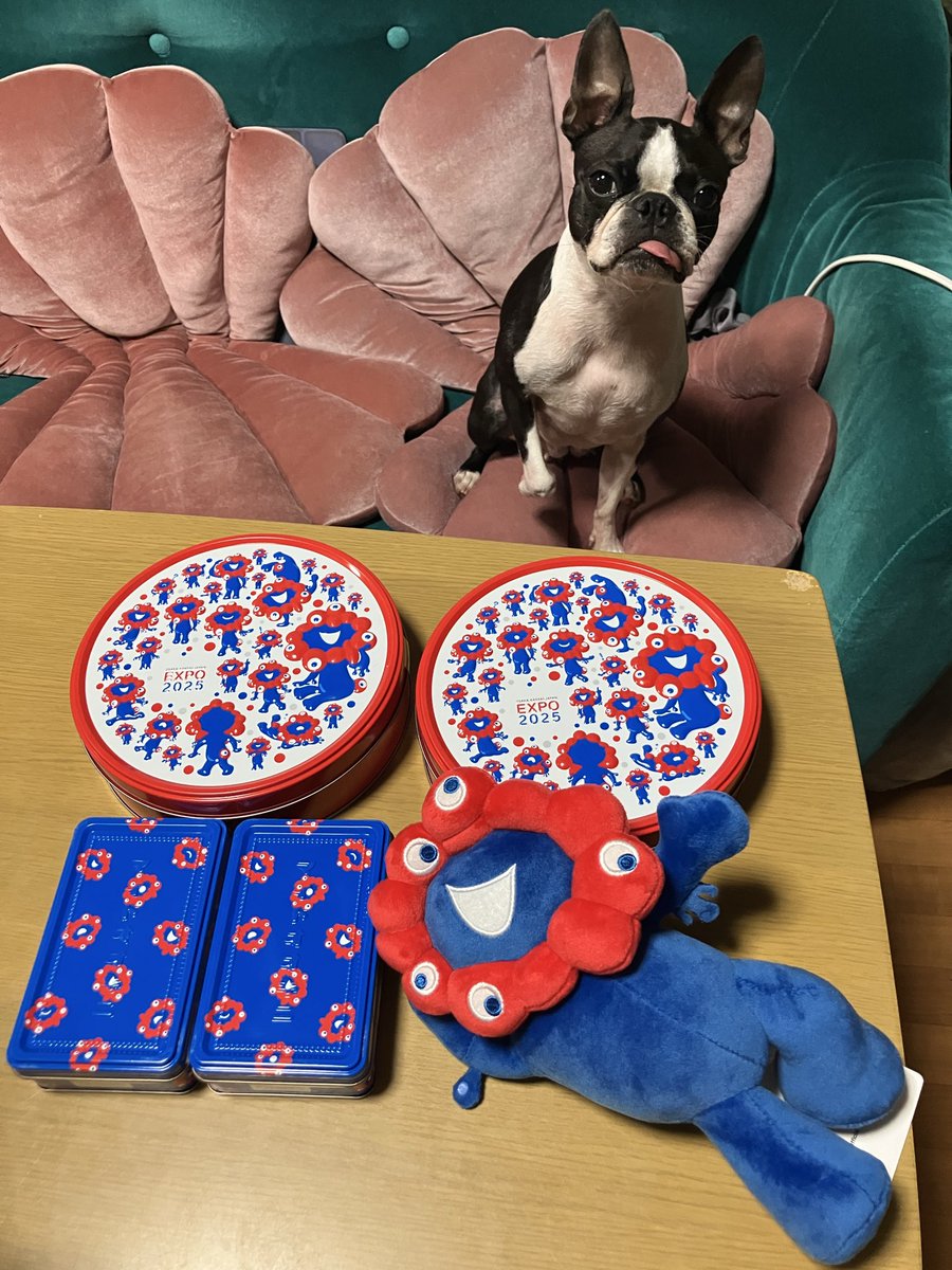 オオキニ缶　5缶 オオキニ缶 5缶 アフター関西万博】幻の“マイドオオキニ缶”をついに