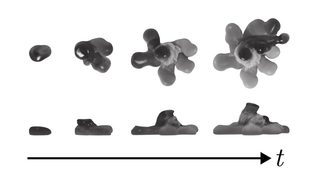 PhysRevFluids's tweet image. Do ice stalagmites grow only vertically? Not always! Temperature and flow rate shape their form, creating star-like structures. Heat diffusion at the tip controls whether growth is purely vertical or also lateral.

Read the PRFluids Editors&apos; suggestion: go.aps.org/4nGb8AH