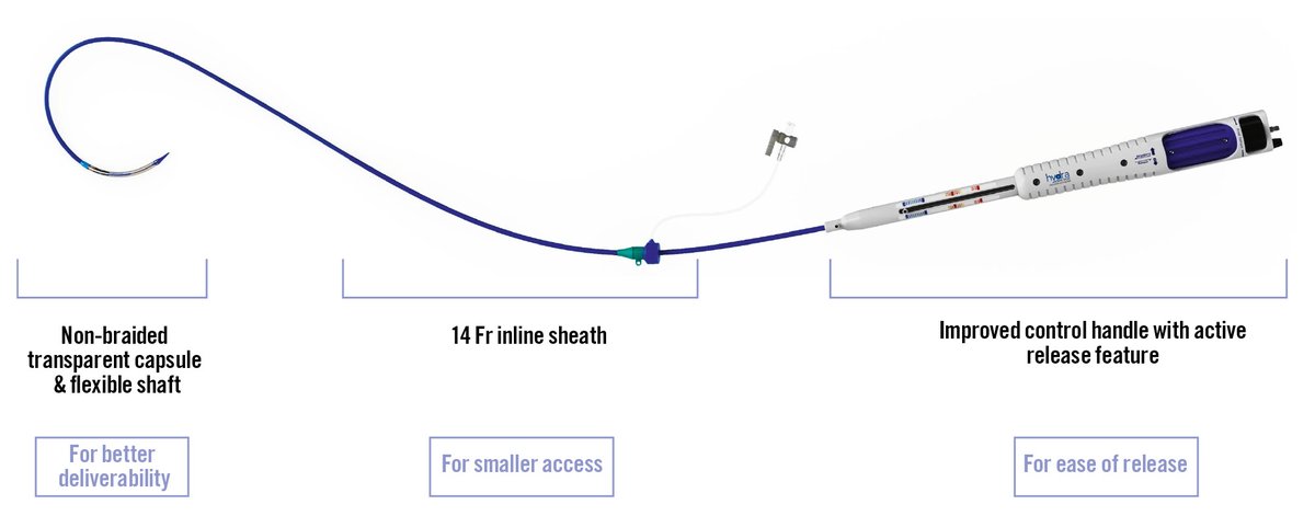 AsiaIntervention tweet media