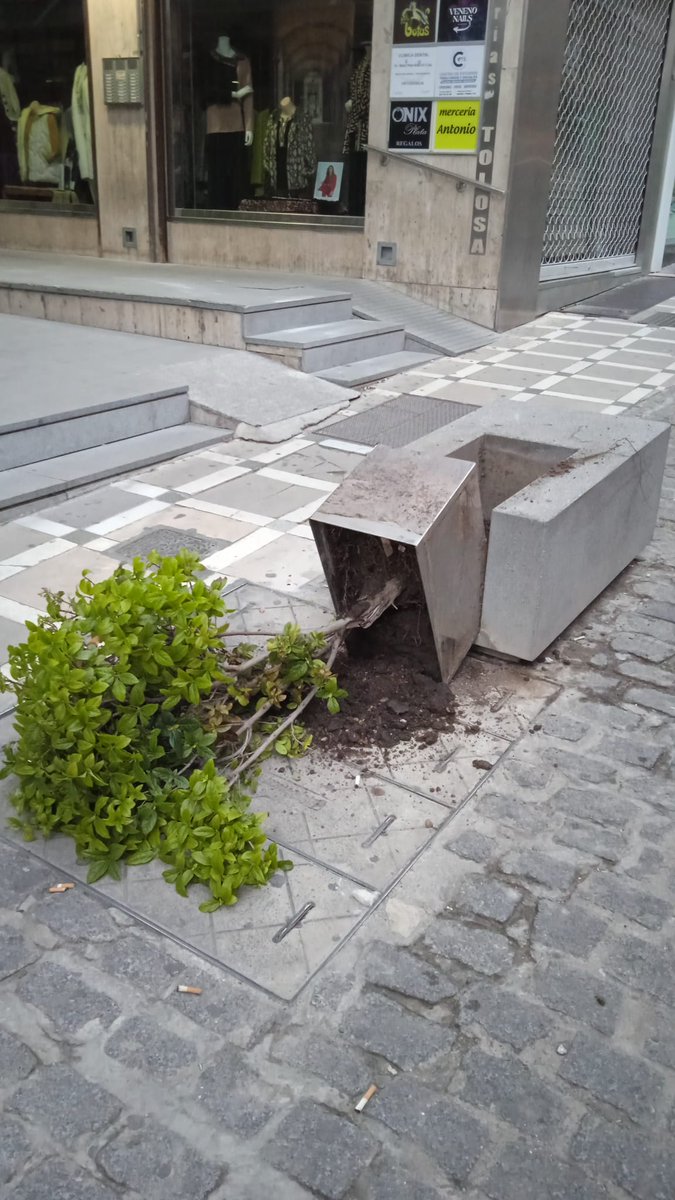 Ed. Ambiental Jaén tweet media