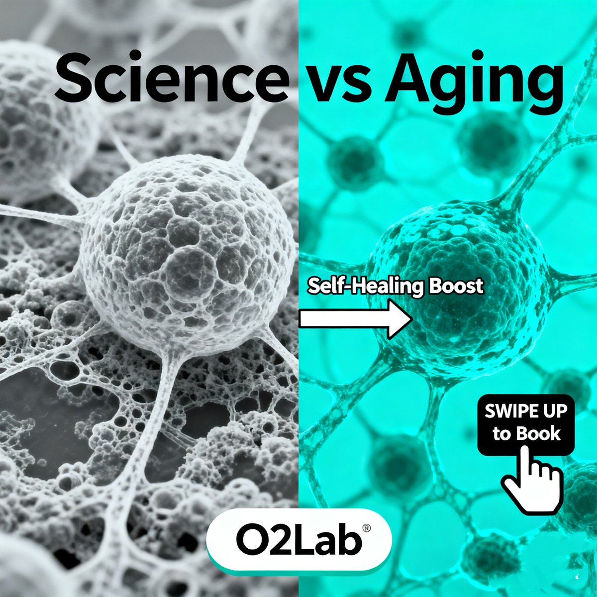 O2 LAB tweet media