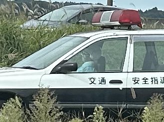tad_deiton's tweet photo. おそらく交通安全啓発的な感じで置いたんだろうけど夜見たら絶対怖い草ヒロ発見🌱
#草ヒロ
#パトカー
#交通安全指導車 https://t.co/38KuElOYFW