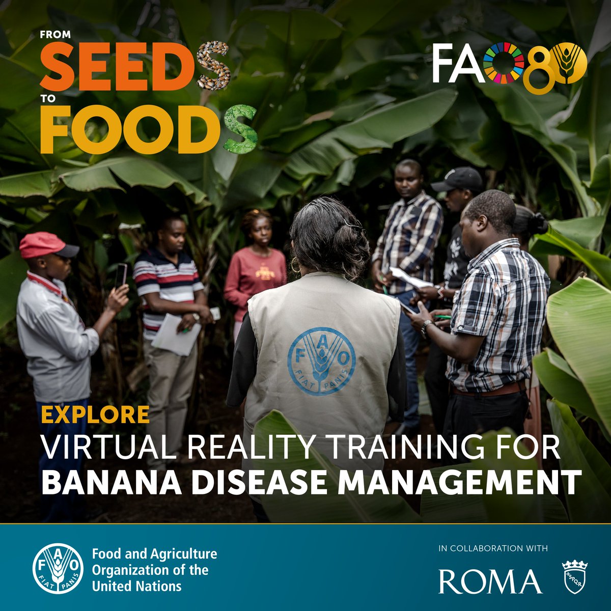🍌🌍 Step into the future of plant health!

Meet us at the <a href="/FAO/">Food and Agriculture Organization</a> Global Exhibition: #Seeds2Foods  to explore how virtual reality is transforming banana disease management, helping farmers &amp; plant health experts learn, adapt, and protect crops sustainably. 🌱🕶️

📅 10–13 October
📍