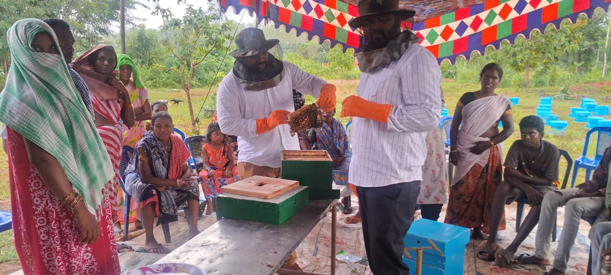 sayodhya1's tweet photo. @sayodhya1 trained #NayakPodtribe farmers in #sustainable #beekeeping in #Chandrayapalem  &amp; distributed 96 bee boxes.
👏 Applause to Vana Samrakshana Samithi  for leading forest-friendly livelihoods!
 #SayodhyaNGO #TribalEmpowerment #SustainableLivelihoods #Khammam https://t.co/z5EagegSRh