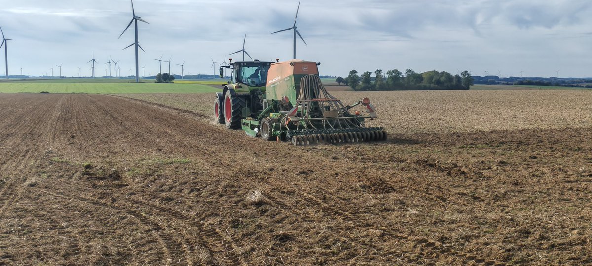 Mathilde Jonet🐕🦄🐓 tweet media