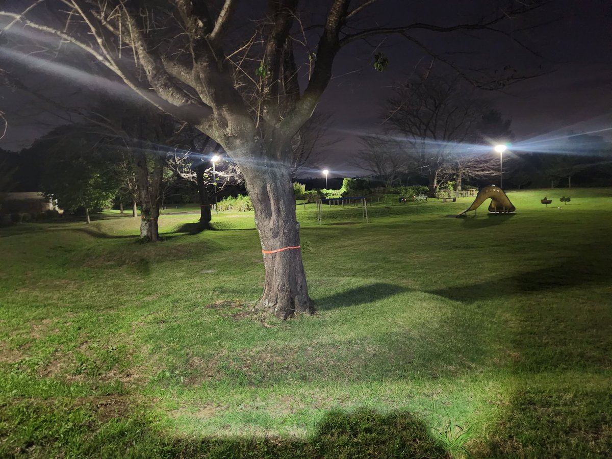 みーちゃんと新しい道お散歩してたら公園あって公園中あるってたら遊具の裏で学生がイチャついてて気まずかったWww