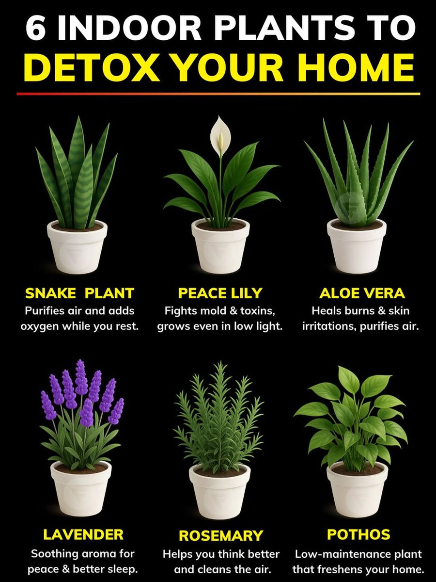 Grow Smarter tweet media