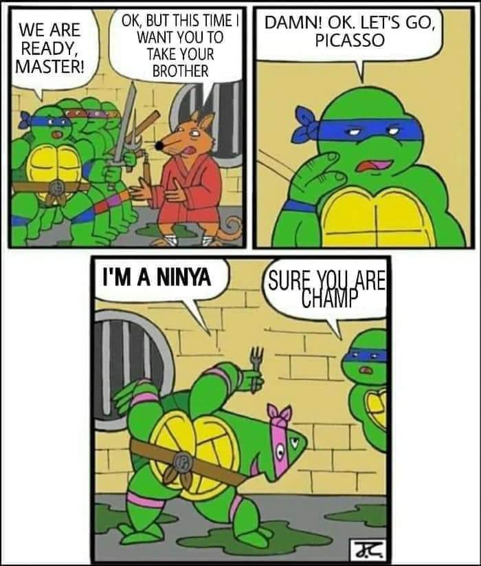 Turtleheimer tweet media