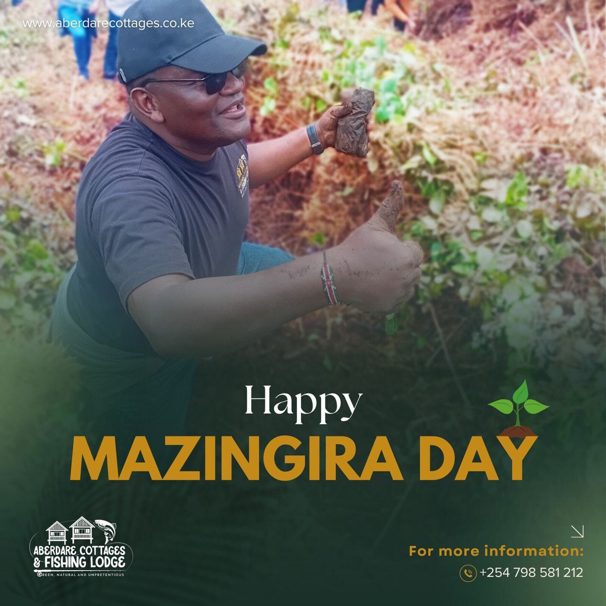 Aberdare Cottages & Fishing Lodge tweet media