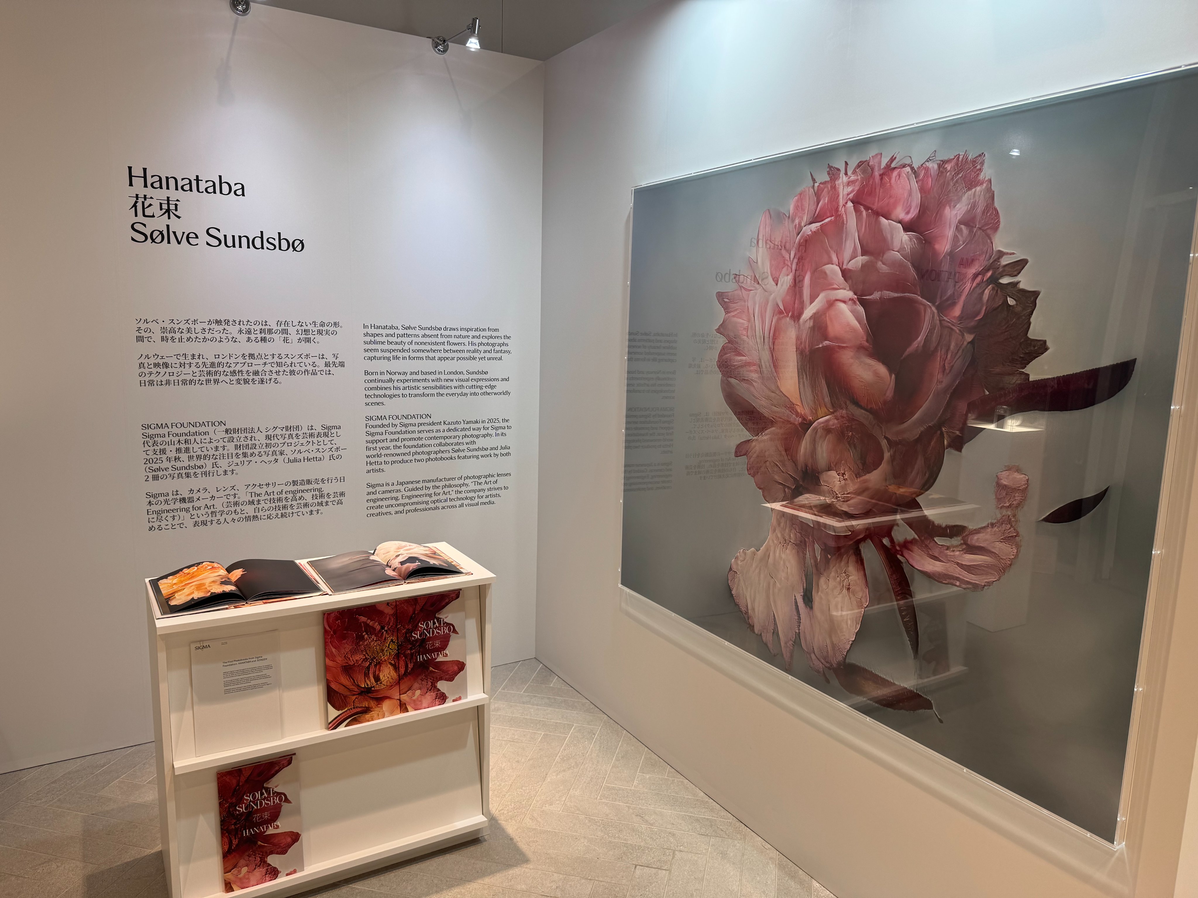 セール終了【内山田画廊 謹製】かぼす。　現代アート　投資　コレクションに 自身の内面を独自の表現で柔らかく描く画家・やましたあつこの