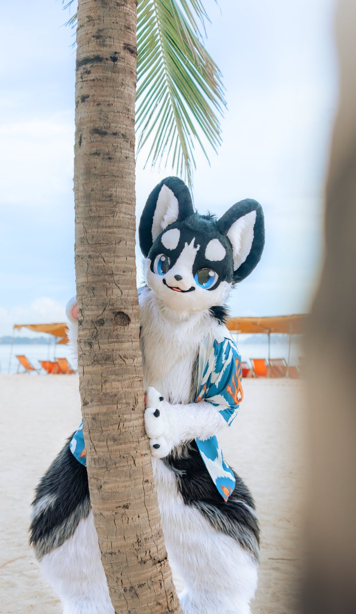 Bio (@biohusky13) on Twitter photo 