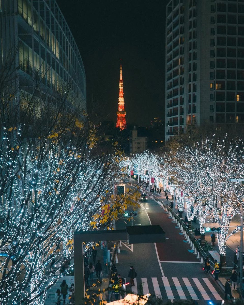 TAshibetsu71161's tweet image. 📍 In just weeks, Tokyo 東京 will look like this again.. 🎅🇯🇵

#roppongi #traveladdict #winter #Christmas #japantravel #日本 #japantrip2025

@jerichosakura