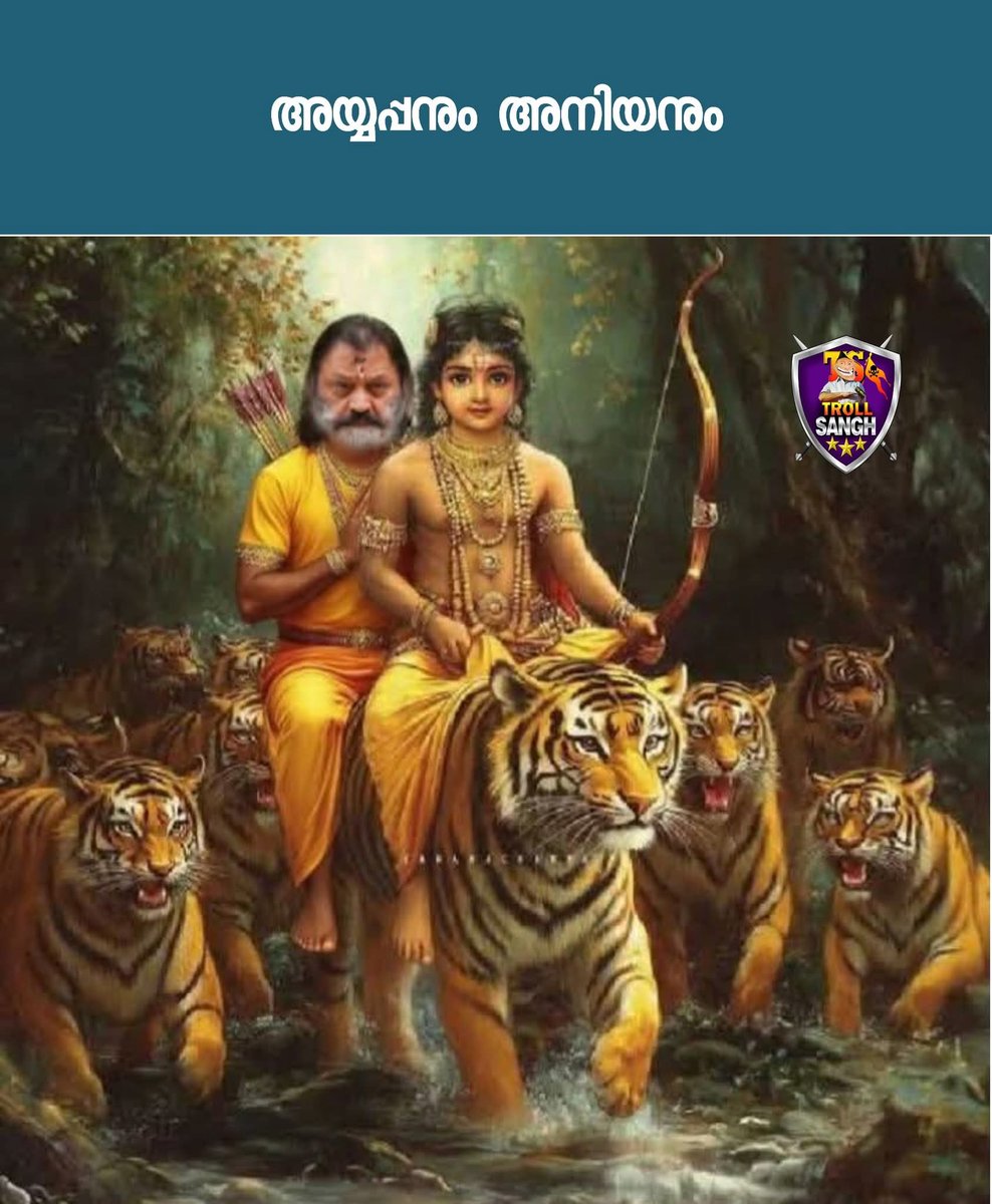 സ്വാമിയേ ശരണമയ്യപ്പാ... 😌