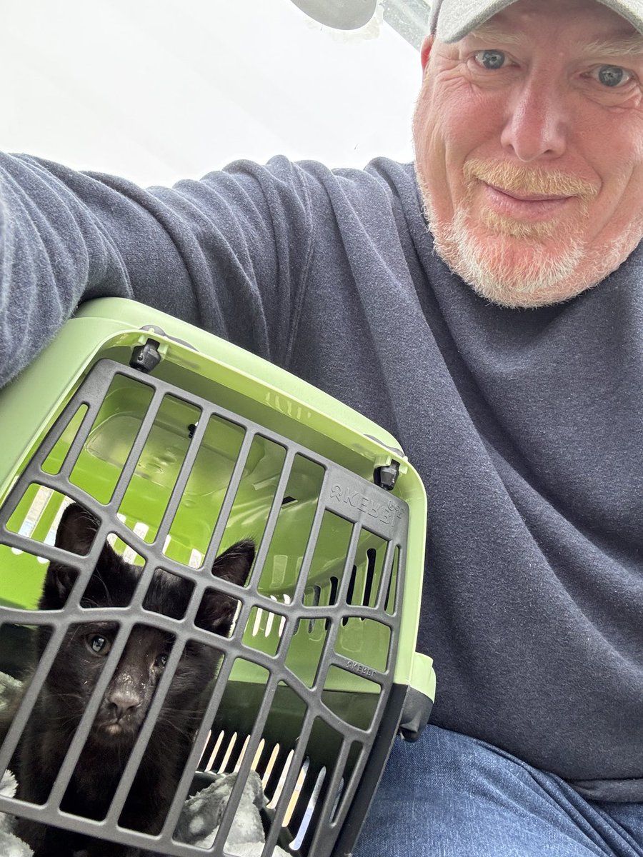 Just back from the vets for Fitz's vaccinations, microchip &amp; check-up. All is good, he's perfectly healthy &amp; growing just right. 
Today is #WorldMentalHealth Day &amp; to say this little bundle of black fur has helped me with my fucked up head is an understatement!! I just knew it.