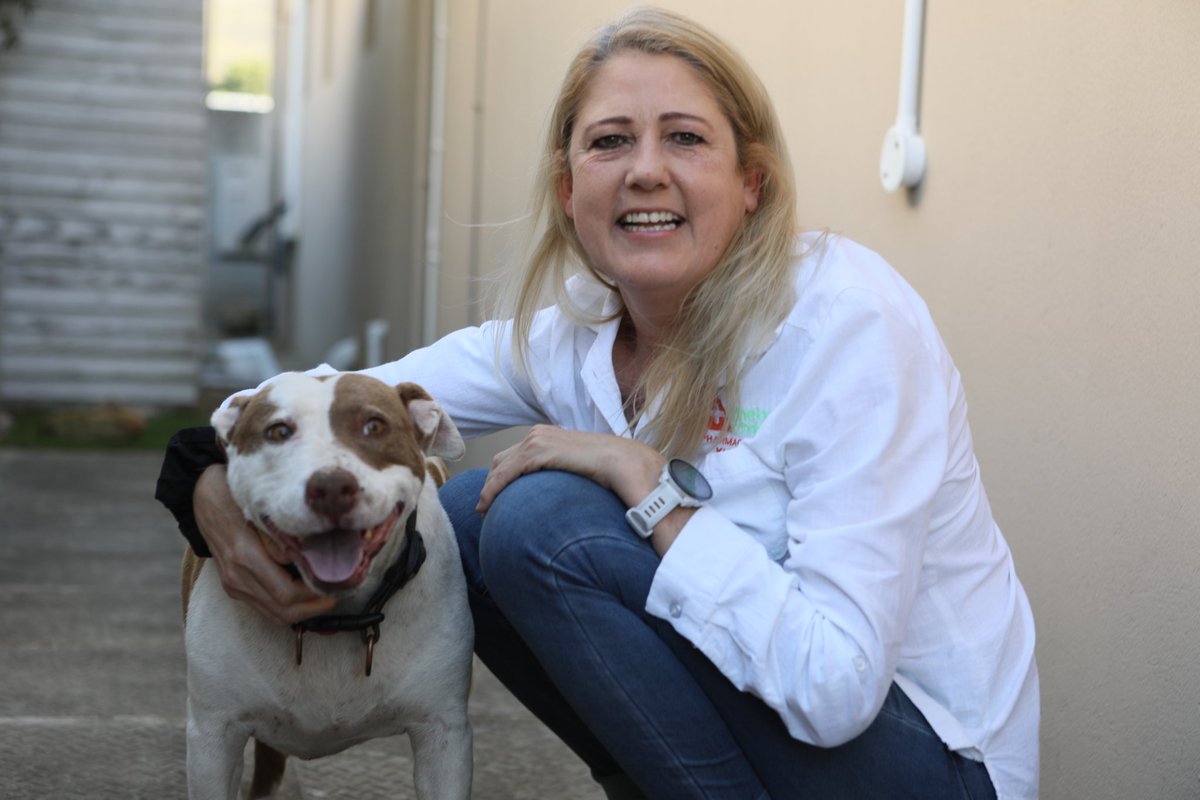 Bella at the Vet this morning, she will be fixed up, but need a home very urgently afterwards
‼️‼️ PLEASE SHARE ‼️‼️