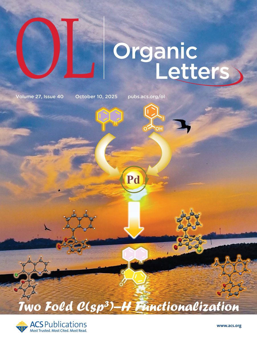 scghoshCSMCRI's tweet photo. Happy to share that our article’s TOC has been selected and published as the Cover Page in Organic Letters
https://t.co/mIPteBrSHn #MyACSCover 

Article is here: Palladium-Catalyzed Synthesis of Quinolinyl Lactones via Double C(sp3)–H Functionalization
https://t.co/n0Bz14LLz2 https://t.co/TZsIUG72XS